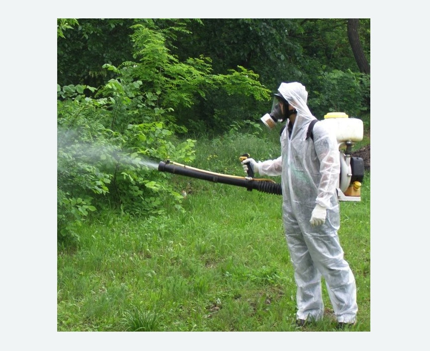 обработка территории от клещей в Анжеро-Судженске