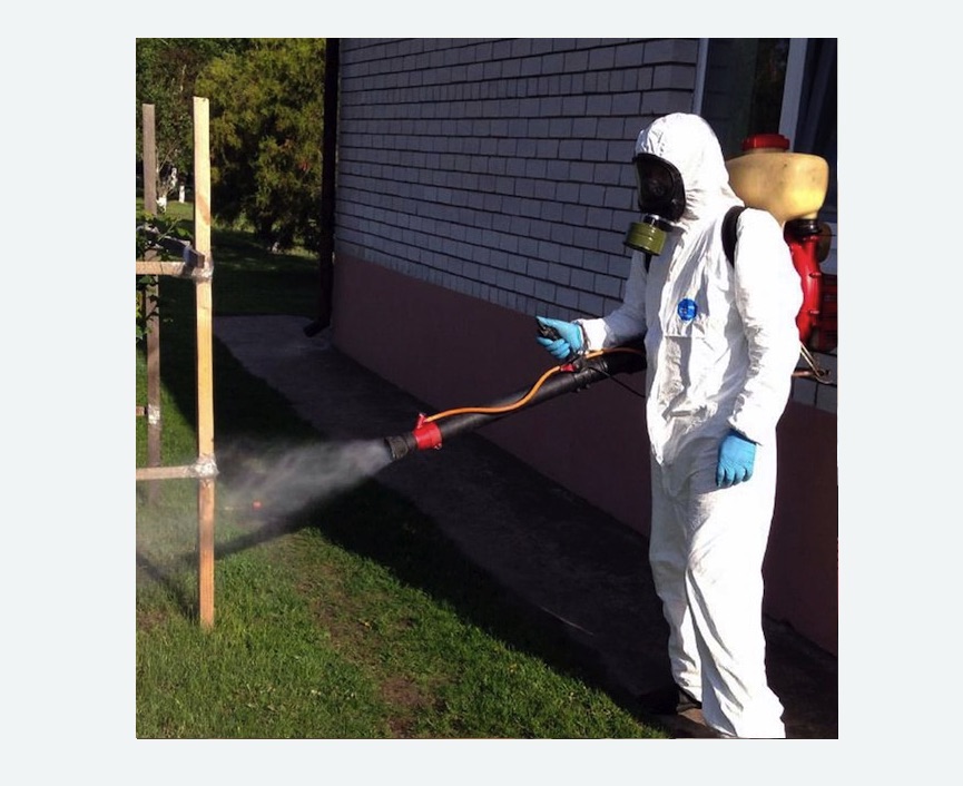 травля клещей на участке в Анжеро-Судженске