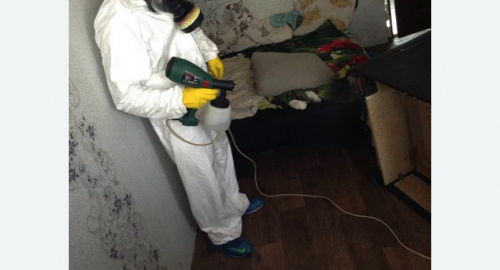 Обработка квартир от насекомых в Анжеро-Судженске