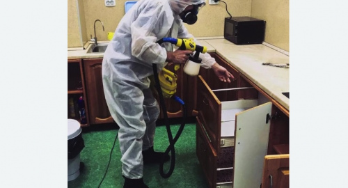 Дезинсекция квартиры. Анжеро-Судженск