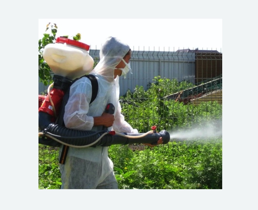 Акарицидная обработка территории в Анжеро-Судженске