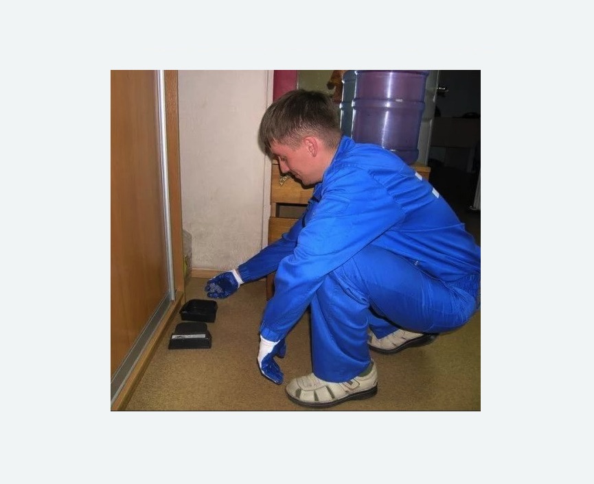 Дератизация крыс в Анжеро-Судженске