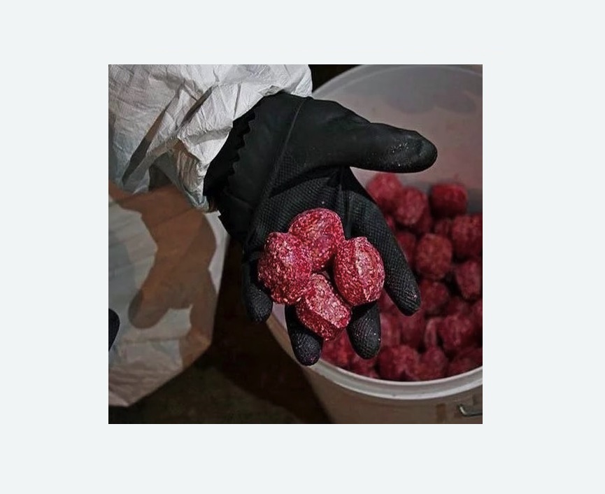 Обработка от крыс в Анжеро-Судженске