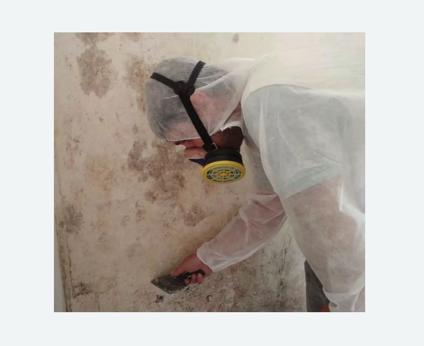 Обработка стен от плесени в Анжеро-Судженске