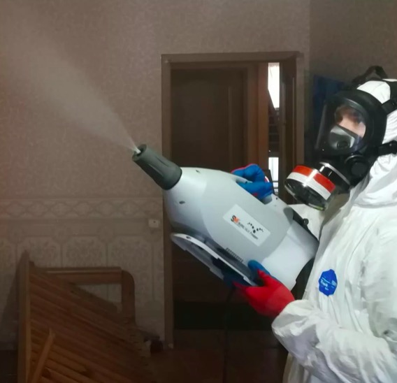 дезинсекция помещения в Анжеро-Судженске