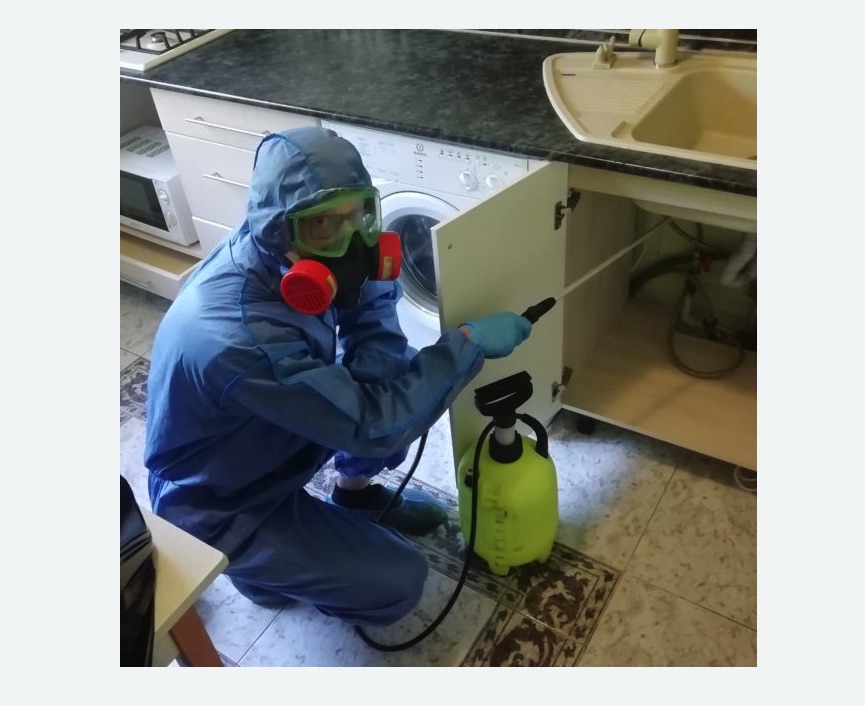 обработка от муравьев в квартире в Анжеро-Судженске