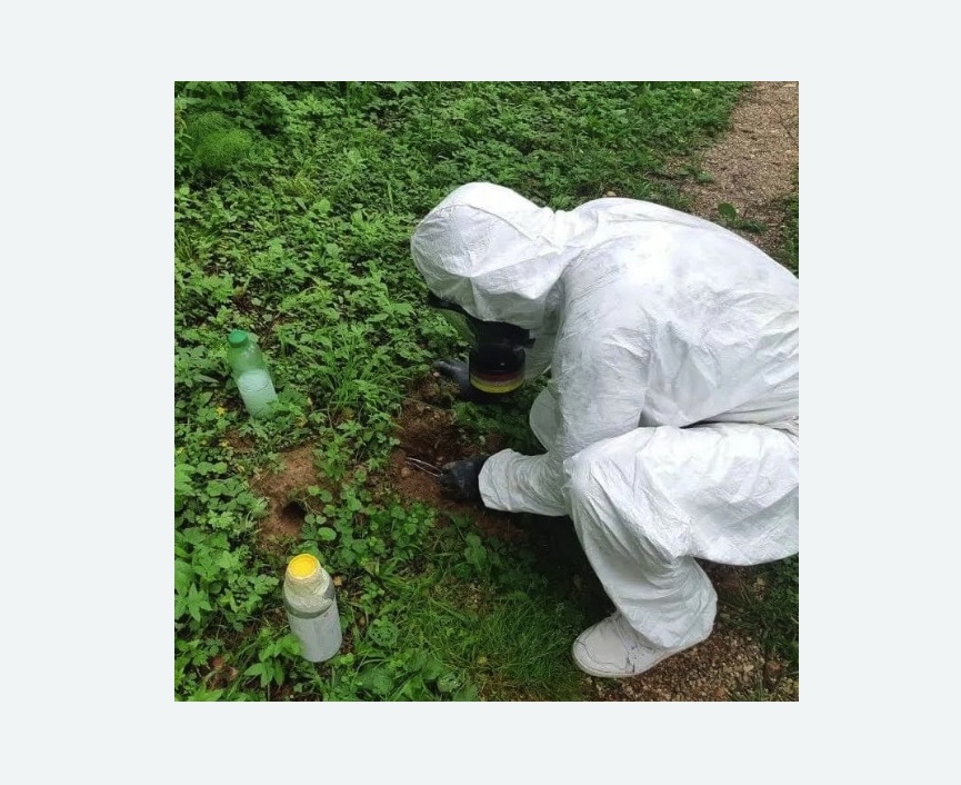 уничтожение кротов на участке в Анжеро-Судженске