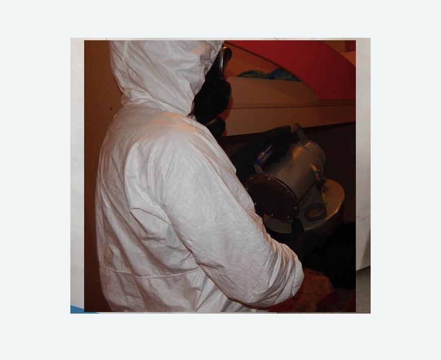 Дезинфекция от муравьев в Анжеро-Судженске