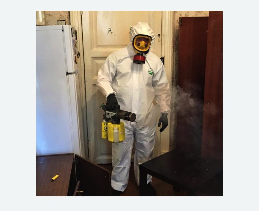 уничтожение муравьев в квартире в Анжеро-Судженске